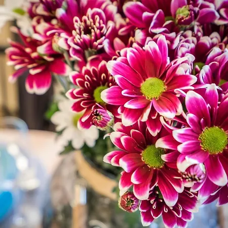 Urban Stable Luxury 아파트 *