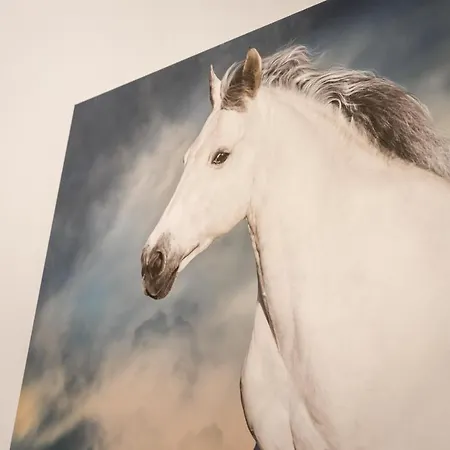 Urban Stable Luxury *