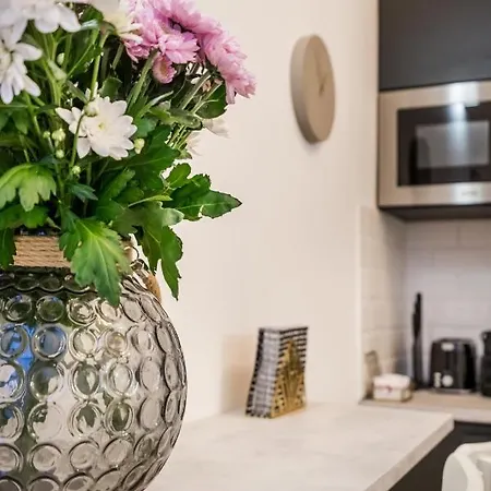 Urban Stable Luxury *