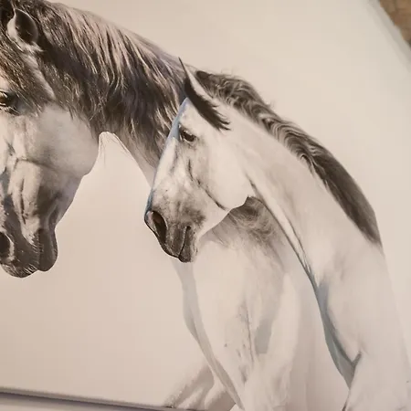 Urban Stable Luxury 부다페스트